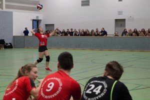 MAX 27.01 - Volleyball Schüler-Lehrer-6102