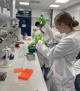 Bio-LK_Labor_2025_01