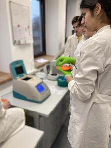 Bio-LK-Labor3