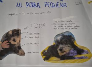 20260413 130106