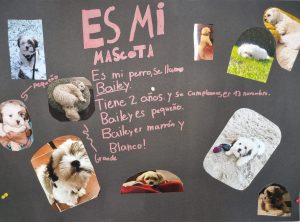Mi mascota