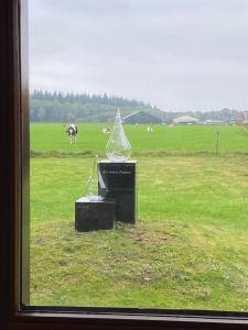 IMG-20251007-WA0071