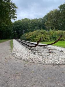 IMG-20251009-WA0123