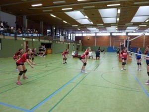 Volleyball_JtfO_2016_Bezirk_P1050758
