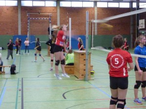 Volleyball_JtfO_2016_Bezirk_P1050766