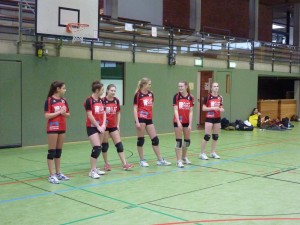 Volleyball_JtfO_2016_Bezirk_P1050771