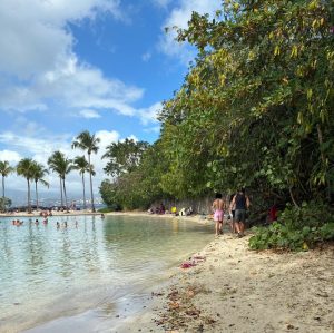 WhatsApp-Image-2026-01-20-at-12.00.21